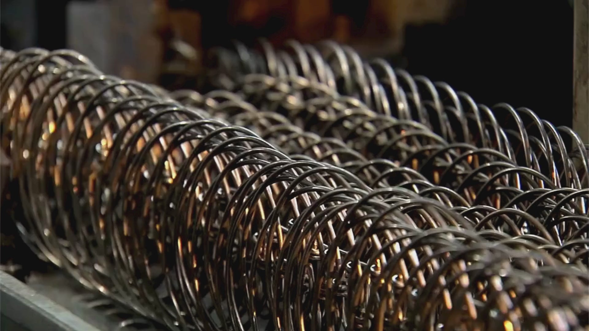 Load video: easeliving video on about us 